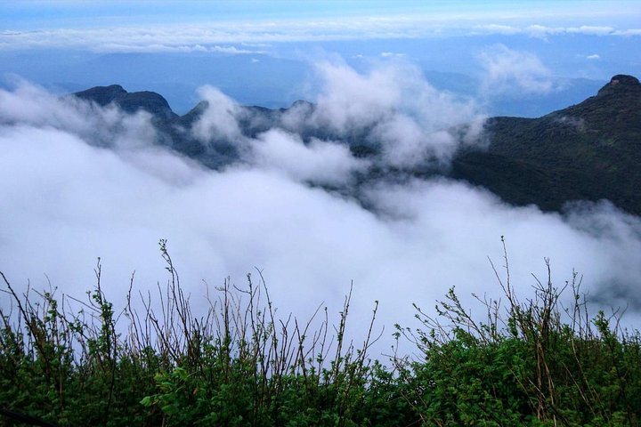 The backpackers trail to Elephant Spine – Knuckles - Photo 1 of 6